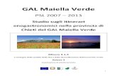 GAL Maiella Verde - Bollettino Ufficiale Regione Abruzzobura.regione.abruzzo.it/2014/Allegati/SPE_17_5All. 4 Itinerari.pdf · GAL Maiella Verde PSL 2007 – 2013 Studio sugli itinerari