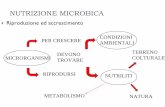 NUTRIZIONE MICROBICA - itiscannizzaro.net · `Una coltura pura è costituita da una popolazione di cellule derivate tute da un’unica cellula madre. Essa ... FASE DI MORTE • diminuzione
