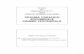 TRAUMA TORACICO ADDOMINALE CRANIO VERTEBRALEcriparma.altervista.org/Dispense Corso 2009/PSTI 07 - Trauma... · 2 IL TRAUMA TORACICO - ADDOMINALE All’interno della Cassa Toracica