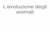 L’evoluzione degli animali - iccasella.gov.it · Gli artropodi: miriapodi e aracnidi I centopiedi sono dotati di un paio di appendici per ogni segmento corporeo, i millepiedi di