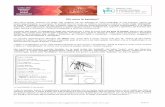 Chi sono le zanzare?zanzare.ipla.org/images/Pdf/2017/Le_zanzare_rev.pdf · insetti appartengono a un gruppo di animali che ha avuto un enorme successo evolutivo, quello degli "artropodi".