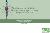 Regolamento REACH BPL Prospettive Progetti ArpaER · 9Il formato della slide è8X15K e include: Tre repliche dell’ intero genoma di V. ... Quercioli Paola ...