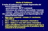 Morbo di Parkinson - fvcalabria.unicz.it · completo rilassamento muscolare, è accentuato dall’ emozione), di frequenza tra 4 – 6 Hz, generalmente distale agli ... acinesia e