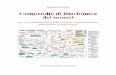 Compendio di Biochimica dei tumori - pasqualeferorelli.it · 2. componenti della via della fosfoinositide 3-chinasi (PI-3chinasi). ... MAP kinases); PI-3 chinasi; Inositolo trifosfato