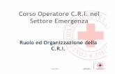 Corso Operatore C.R.I. nel Settore Emergenza - Croce Rossa …cripr.weebly.com/uploads/2/0/2/7/20276515/0.1.2_-_ruolo... · 2015-03-11 · che hanno superato con esito positivo il