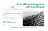 La Rassegnaischialarassegna.com/rassegna/Rassegna1993/rass08-93/rass08-93.pdf · La Rassegna d'Ischia 8/1993 3 La Rassegna d'Ischia Periodico di ricerche e di temi turistici, culturali,