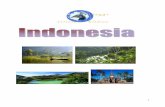 Viaggio in Indonesia - circoloeledrea.comcircoloeledrea.com/files/guida_dellindonesia.pdf · isole di Giava e Sumatra intorno al 200 a.C. Il regno di Tamura viene fondato sull’isola