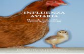 INFLUENZA AVIARIA - ornitofilia.it influenza.pdf · Manuale di autodifesa ad uso degli ornitofili UNIONE ITALIANA ORNITOFILI . INFLUENZA AVIARIA ... popolazione domestica, con conseguente