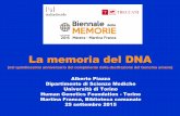 La memoria del DNA - italiadecide - Associazione per la ... · James Watson & Francis Crick ... DNA differisce in media dell ... Circa il 3% del genoma umano codifica per recettori