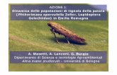 AZIONE 1: Dinamica delle popolazioni di tignola della ... P-operculella ASSOPA 2013.pdf · Media catture settimanali per tarppola ... Due possibili voli prima della raccolta e un