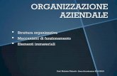 ORGANIZZAZIONE AZIENDALE - web.uniroma1.it · Struttura funzionale: le diverse aree organizzative vengono suddivise orizzontalmente, in base alla funzione svolta da ogni organo (es: