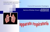 Anno Accademico 2017-2018 Corso di Anatomia Patologica · Ischemia: Ridotta quantità di ... -policitemia di compenso e ipercinesi cardiaca: cianosi calda Cianosi periferica: ...