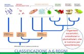 organismi eucariotici, unicellulari o pluricellulari, che ...sfp.unical.it/modulistica/BIOLOGIA XIV 2015 PRIMA PARTE.pdf · organismi eucariotici, unicellulari o pluricellulari, che