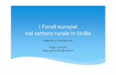 I Fondi europei nel settore rurale in Sicilia · la commercializzazione dei prodotti ∗Questi pagamenti rappresentano meno del 10% del bilancio della PAC. ∗Rafforzamento della