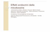 Effetti endocrini delle micotossine - old.iss.itold.iss.it/binary/inte/cont/4Colacci et al. - Micotossine come IE... · Sviluppo di strumenti diagnostici innovativi per la rapida