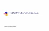 fisiopatrena [modalità compatibilità] - Fisiokinesiterapiafisiokinesiterapia-news.it/download/fisiopatrena.pdf · La regolazione della diuresi finale e dell’equilibrio idro-salina