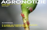 AGRONOTIZIE MAG-GIU 2010.pdf · di Annalisa Marigliani ... di Lorenzo Pepicelli Con il termine di colture in vitro si intende l'ottenimento , in opportune condizioni, di piante intere