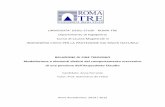Relazione fine tirocinio Anna Ferrante - Università Roma Tredidaingcivile.altervista.org/files/Anna-Ferrante-LM-PRN.pdf · codici di analisi con metodologie esistenti e ben consolidate,