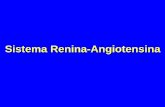 Sistema Renina-Angiotensina · Chininogeno Bradichinina Eptapeptide inattivo Enzima di conversione Renina Callicreina I sistemi renina-angiotensina e ... inibitori); nessuna interferenza