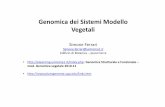 Genomica dei Sistemi Modello Vegetali - elearning.uniroma1.it · -Genomi vegetali –generalità, genomica comparativa delle piante. -Genomica funzionale –metodi di genetica diretta