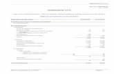Bilancio Consolidato 2017 - umbragroup.com · Totale patrimonio netto consolidato 79.956 66.852 B) Fondi per rischi e oneri 1) Fondi di trattamento di quiescenza e obblighi simili