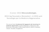 Il corso- 2015 Meccanobiologia - unipi.it · Il corso- 2015 Meccanobiologia, 2013 Ing Tessutale e Bioreattori , in 2016 sarà Tecnologie per la Medicina Regenerativa ... Epigenotipo-