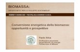 Silva Biomass energetic conversion opportunities and ... convegno biomassa... · - IMPATTO AMBIENTALE (effetto serra e inquinamento) RISPARMIO ENERGETICO FONTI RINNOVABILI. Energia