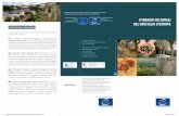 ITINERARI CULTURALI DEL CONSIGLIO D’EUROPA · Allargato (giugno 2016): fare riferimento ad un tema rappre-sentativo dei valori europei e condi- ... attraverso un viaggio nel tempo