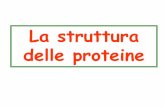 La struttura delle proteine - Homepage | DidatticaWEBdidattica.uniroma2.it/.../lezione_2_-_struttura_delle_proteine.pdf · La struttura delle proteine . ... (si considera la disposizione
