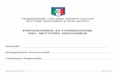 FEDERAZIONE ITALIANA GIUOCO CALCIO SETTORE GIOVANILE … · FEDERAZIONE ITALIANA GIUOCO CALCIO SETTORE GIOVANILE E SCOLASTICO PROGRAMMA DI FORMAZIONE DEL SETTORE GIOVANILE ... Tecnico
