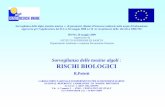 Sorveglianza delle tossine algali RISCHI BIOLOGICIold.iss.it/binary/baaq/cont/tossine_algali_Poletti.pdf · molluschi bivalvi in: Africa, Asia, Europa, Nord e Sud america, Oceania.