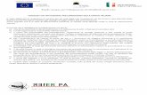 versione sito mappatura siti per conoscenza lingua italiana · CHECKLIST SITI ISTITUZIONALI PER CONOSCENZA DELLA LINGUA ITALIANA E' stata effettuata la mappatura di verifica dei siti