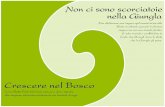 Crescere nel Bosco - Fabrizio Coccetti's Personal Home Page · dell’Amore ricevuto da Dio e che, nel momento in cui si impara a ... il progetto che Dio ha su di noi. ... Ricordiamoci