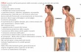 Presentazione standard di PowerPoint - Giuseppe Visonà ... · cartilagini di accrescimento dei corpi vertebrali. Le scoliosi vengono classificate attraverso vari parametri quali: