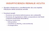 Insufficienza renale acutainfermieristica.polodidatticopanico.com/wp-content/uploads/sites/2/... · •Ipeproduzione di cataboliti azotati ... –Ridotta eliminazione renale del K+,