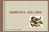 GEOMETRIA EUCLIDEA · PPT file · Web view2016-03-09 · GEOMETRIA EUCLIDEA PROF. ... Sezione di Catania Indirizzo 1 Scienze naturali Classe A059 A.A. 2006/2007 ... Lunghezze, aree,