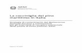 La cocciniglia del pino marittimo in Italia · Antonio Gnes Referente di Ecosistemi Naturali del Servizio Sistemi Ambientali della Sezione di Ravenna ARPAEmilia Romagna, Sezione Provinciale