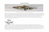 CLOCKPUNK - fmboschetto.it · CLOCKPUNK Scarabeo volante con tecnologia Clockpunk Nonostante la Rivoluzione Industriale venga fatta risalire a Leonardo da Vinci (detto l'Archimede