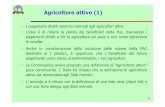 Agricoltore attivo (1) - peritiagraripadova.it · ... programmi per la distribuzione di frutta e latte nelle ... interventi saranno alla base delle nuove misure di ... maggior parte