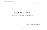 CARL 9 - Edilizia - Edilio.it - Il portale per l'edilizia · 2013-08-03 · È possibile analizzare le seguenti geometrie di fondazioni: – fondazione nastriforme ... (palo di fondazione)