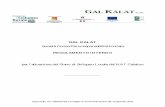 GAL KALAT SCARL · Consortile a responsabilità limitata «GAL Kalat», costituita il 6 agosto 2009, rogito notaio Filippo Ferrara in Caltagirone, con sede legale in Caltagirone (Ct)