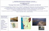 Circuito d’Acqua - Provincia di Pisa · Connessioni con le vie d’acqua : Piste ciclabili Camminamenti Riqualificazione dei Viali a Mare Luoghi di incontro: Progetto di piazze