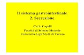 Il sistema gastrointestinale 2. Secrezione - Carlo Capelli · • Secrezione salivare: regolazione, composizione (amilasi) e funzioni • Secrezione gastrica (cellule parietali, principali,