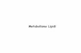 12.metabolismo lipidi [modalit compatibilit ] · punto di regolazione metabolica. Regolazione covalente mediante fosforilazione ... della biosintesi degli acidi grassi e del colesterolo,