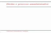 Diritto e processo amministrativo - .Diritto e processo amministrativo--Edizioni Scientifiche Italiane