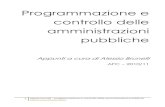 Programmazione e controllo delle amministrazioni pubbliche · il controllo strategico e l'utilizzo della balanced scorecard nelle ap la pianificazione e la programmazione dell'ente