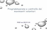 Programmazione e controllo dei movimenti volontari · Programmazione e controllo dei movimenti volontari 4. ARGOMENTI Programmazione e controllo dei movimenti volontari 5 Tipi di