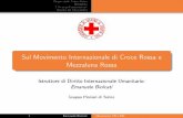 Sul Movimento Internazionale di Croce Rossa e Mezzaluna Rossapersonalpages.to.infn.it/~biolcati/storiaCRI.pdf · Sul Movimento Internazionale di Croce Rossa e Mezzaluna Rossa Istruttore