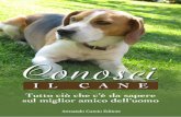 CONOSCI IL CANE · - Leptospirosi - La rabbia - Vaccinazioni polivalenti - Le cure sanitarie nel 1° anno ... Il cane adulto richiederà da parte vostra più pazienza di un cuc-