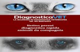 DiagnosticaVET · sangue intero di cane. Anaplasma: ... Test ICT per la ricerca degli anticorpi della Leptospirosi in campioni di siero o di sangue intero di cane.